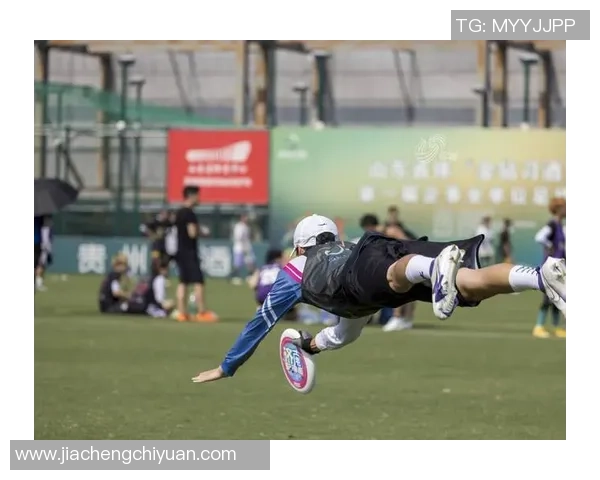 专访陈静：解密飞盘成功之道