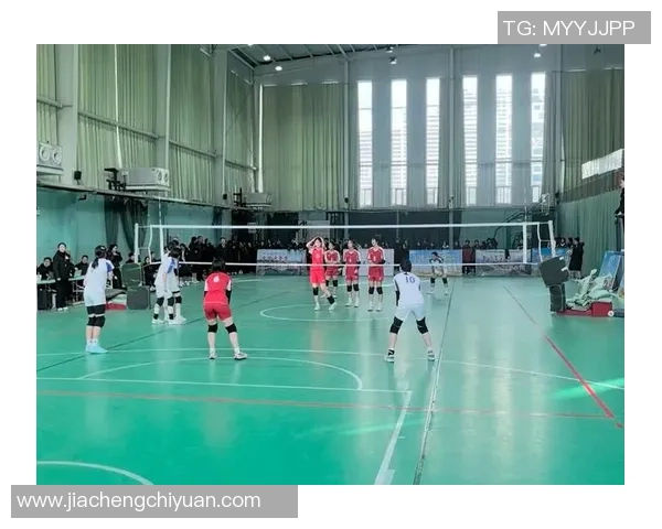 排球焦点：西安排球队的力量探讨